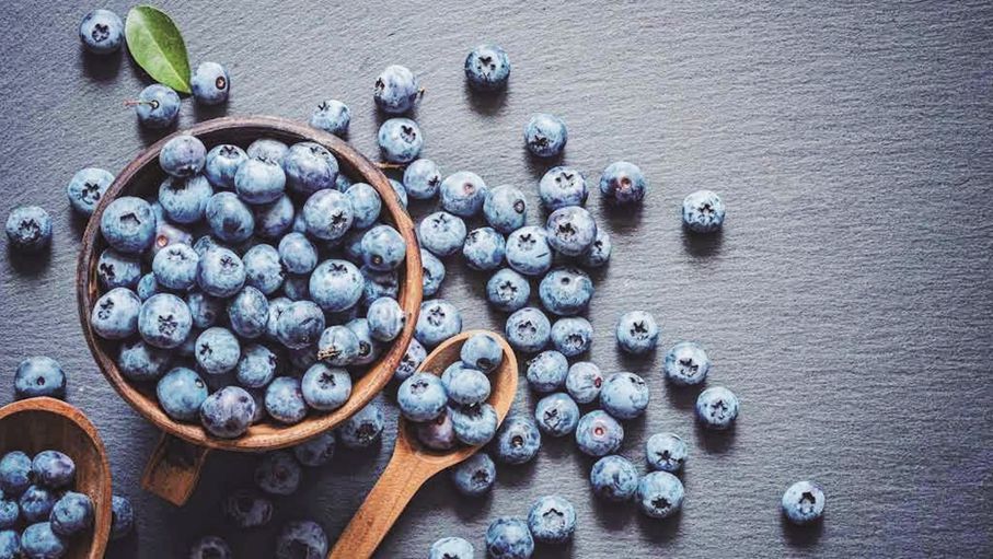 التوت الأزرق.. صديق القلب والأوعية الوفي