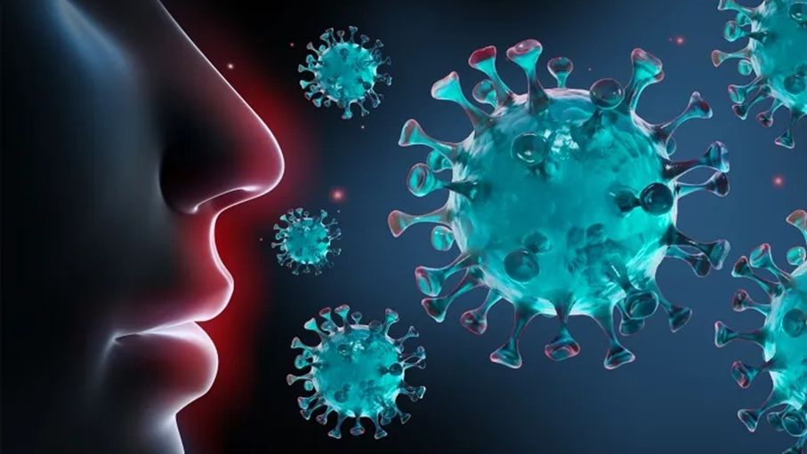 عاجل الصحة: H3N2 هو الفيروس المنتشر حاليا في الأردن وإصابتان بكورونا فقط ولا تسجيل لـ"المخلوي التنفسي" 