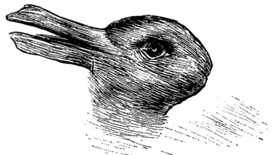 أرنب أم بطة؟ خدعة غريبة تكشف حالتك النفسية...