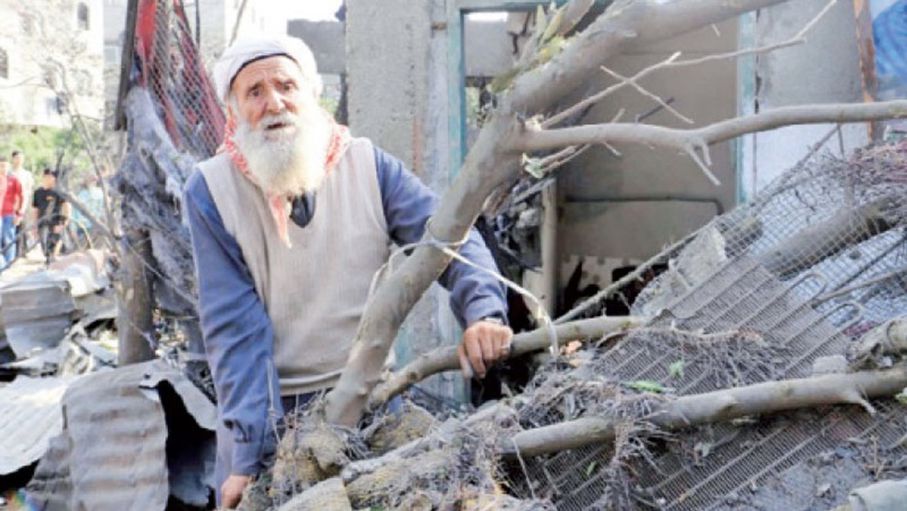 ‏شحدة طه (85 عامًا)، شهد النكبة في 1948، ونزح ثانية عندما دمرت إسرائيل منزله في 14 أيار (مايو)  - (المصدر)‏
