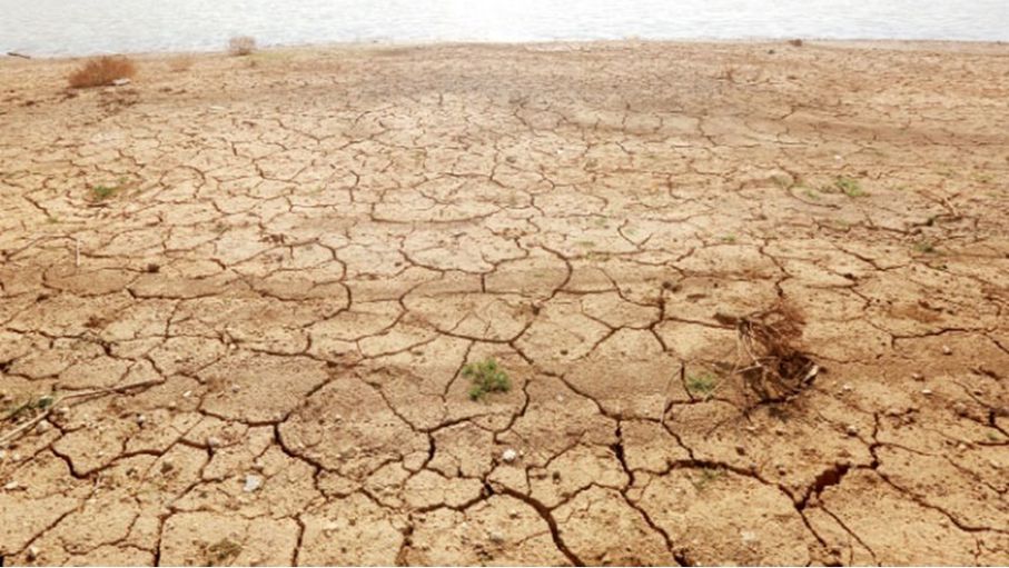 جفاف في إحدى مناطق المفرق بسبب التغير المناخي-(تصوير: أمير خليفة)