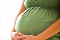 الحامل عليها القضاء وإن تأخرت لعام آخر