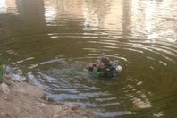 مصرع 4 وإصابة 2 فى انقلاب توك توك بأسوان