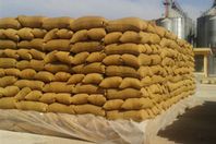 إجراء أكبر مناقصة لاستيراد القمح الروسي