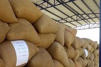 التحفظ على 18 ألف طن قمح روسي فاسد بالإسكندرية