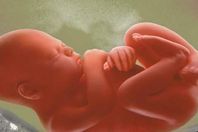 اليوم.. مؤسسة "طب الجنين" تعقد مؤتمرها الثالث