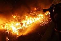 نفوق 4 رأس ماشية في حريق بمزرعة للمواشي