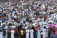 خطة الزراعة لاستقبال عيد الأضحى