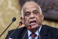 الدكتور على عبدالعال