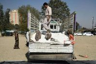 إحباط تفجير شاحنة