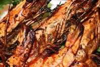 الجمبرى أرشيفية