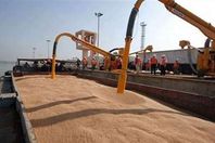 شركة جرينبو