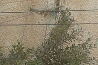 الأسلاك الكهربائية  بدون عوازل بشبراخيت