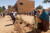 جانب من مبادرة اغرس نخلة