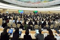 الامم المتحدة  ارشيفية