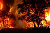 حرائق الغابات أرشيفية