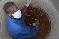 صور الخزانات  بالقصير