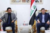 علاء إبراهيم