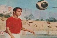 صفوت عبدالحليم