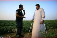 صورة من المقطع