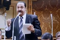 النائب بدوى النويشي