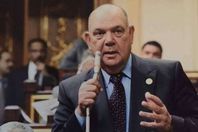 النائب محمد ماهر