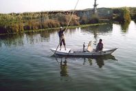 بحيرة المنزلة (أرشيفية)