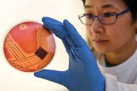 مضادات حيوية