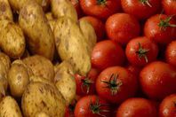 البطاطس والطماطم