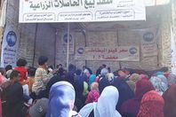 بالصور.. شوادر لمستقبل وطن  لبيع البطاطس بأسعار مخفضة للمواطنين