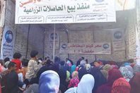 شوادر لبيع البطاطس