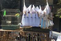 10 صور تكشف كارثة " أدوية الرصيف" بسوق الجمعة