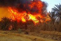 صورة  من الفيديو
