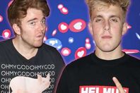 بطلا المسلسل