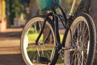 سرقة مقعد دراجة