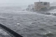 اعصاراليابان