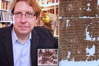 دارك أوبينك والرقائق