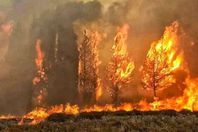 حرائق لبنان