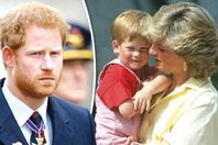 الأميرة ديانا والأمير هاري