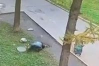 الام تحاول انقاذ نجلها