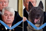 صورة فوتوشوب