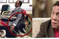 عادل امام والسادات