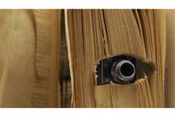 يييييييييييي