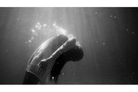 هذا ما يحدث اثناء الموت