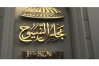 مجلس الشيوخ
