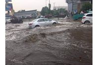 73143000_2586724264948134_7220442763106451456_n-1