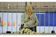 مرتضى منصور