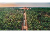 واحة الأحساء