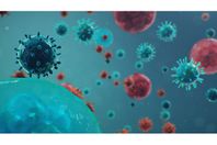 cvddsewewa70a6c4e___cvddsewewa70a6c4e_image_16x9_1200x676