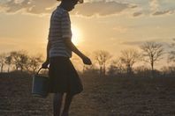 p-ZWE0263-1280x640-1180x620